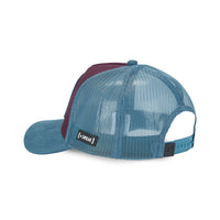 Casquette Trucker Harry Potter Velours Violet/Bleu