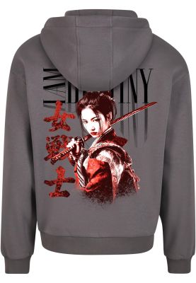 Veste Capuche Destiny Gris