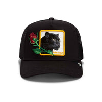 Casquette Trucker Panther Flower Noir